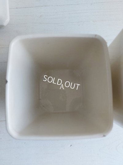 画像12: バドンヴィレーローズ柄キャニスター