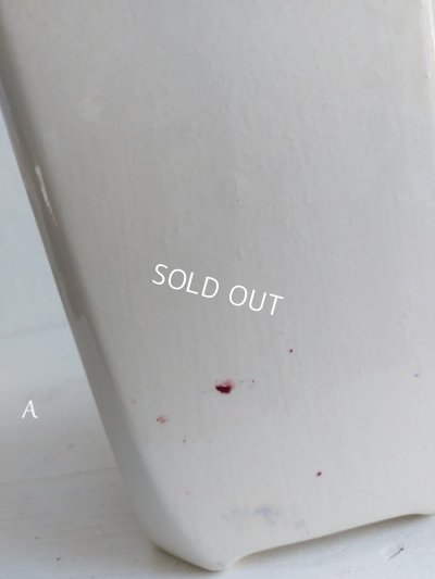 画像19: バドンヴィレーローズ柄キャニスター