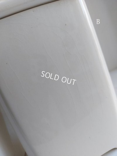 画像20: バドンヴィレーローズ柄キャニスター