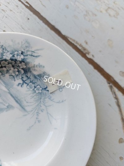 画像6: ジアンペイサージュおままごと陶器プレート6枚Dセット