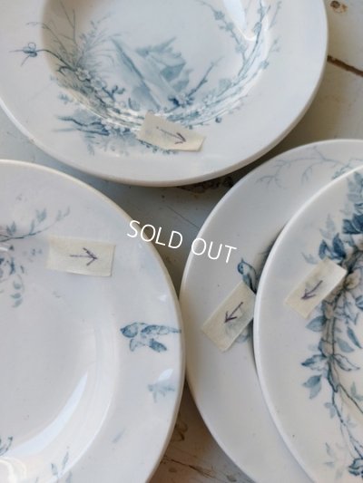 画像9: ジアンペイサージュおままごと陶器プレート6枚Eセット