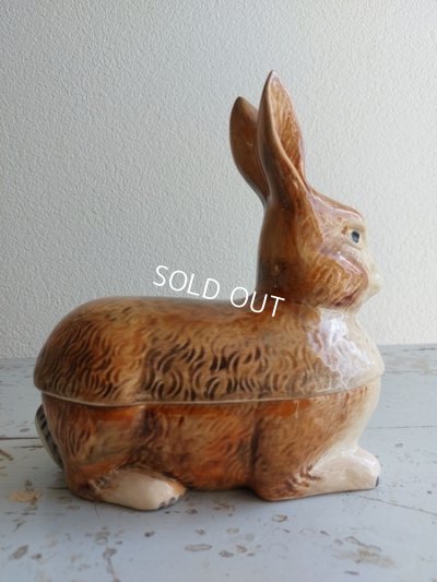 画像12: Michel Caugantうさぎテリーヌポット