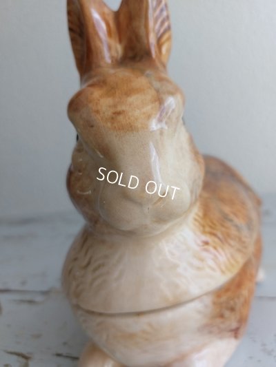 画像15: Michel Caugantうさぎテリーヌポット