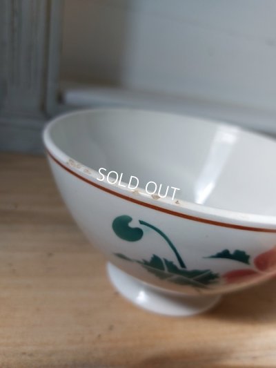 画像11: HBCMクレイユモントローカーネーション柄ボウル
