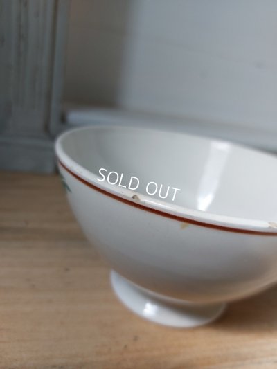 画像12: HBCMクレイユモントローカーネーション柄ボウル