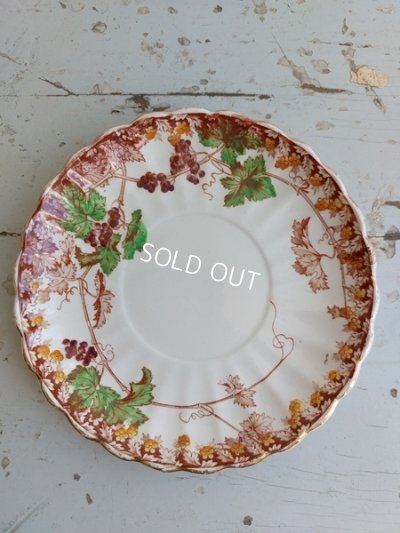 画像14: サルグミンヌぶどう柄カップ＆ソーサー