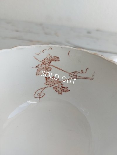 画像11: サルグミンヌぶどう柄カップ＆ソーサー