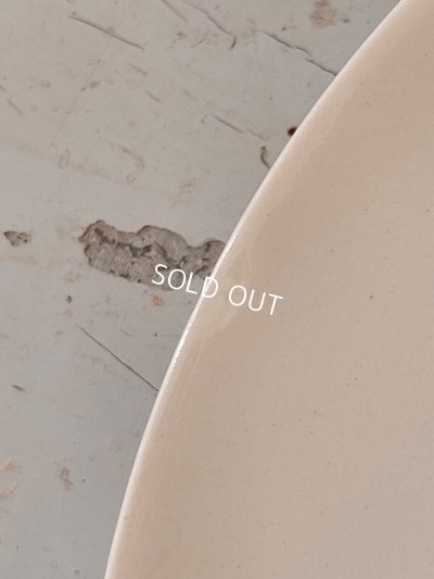 画像4: Froment Richard サルグミンヌ絵皿