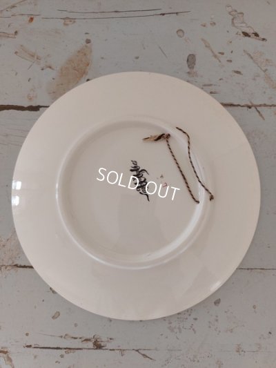 画像7: Froment Richard サルグミンヌ絵皿