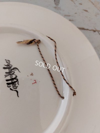 画像8: Froment Richard サルグミンヌ絵皿