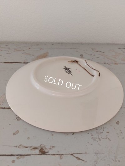 画像10: Froment Richard サルグミンヌ絵皿