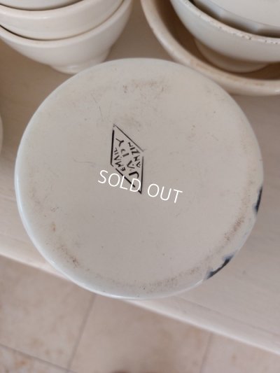 画像9: Japyローズ柄キャニスター