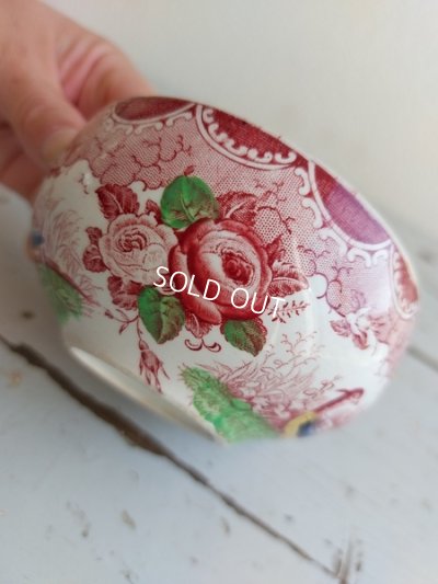 画像3: アンティークサルグミンヌカップ&ソーサー