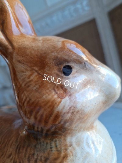 画像13: Michel Caugantうさぎテリーヌポット