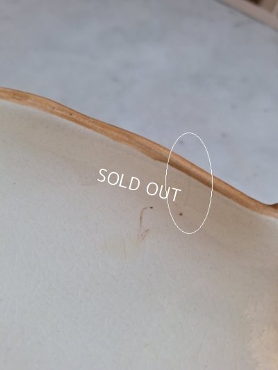 画像24: Michel Caugantうさぎテリーヌポット