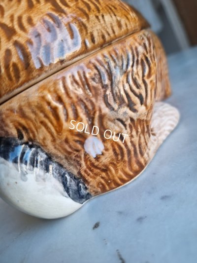 画像23: Michel Caugantうさぎテリーヌポット