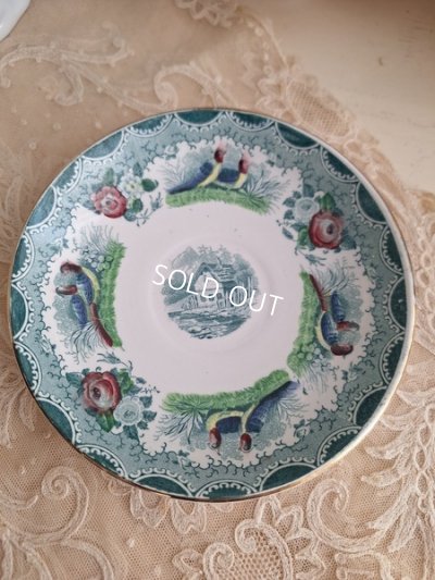 画像15: サルグミンヌカップソーサー　