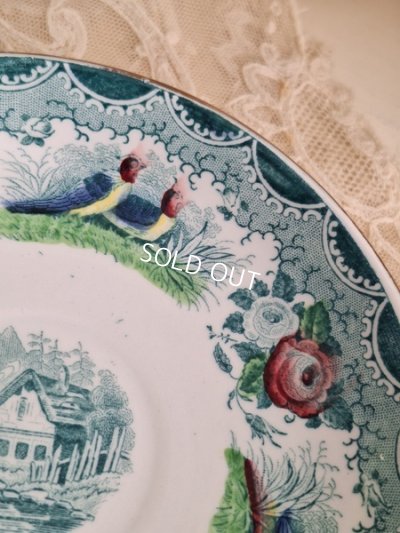 画像16: サルグミンヌカップソーサー　