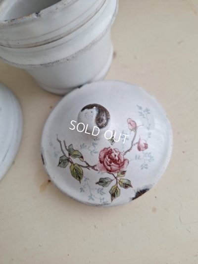 画像8: BFローズ柄小さなフィルター付きポット