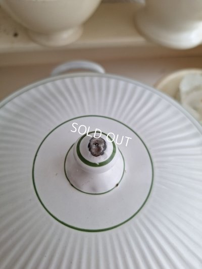 画像9: BB白ローズガーランド柄スーピエール