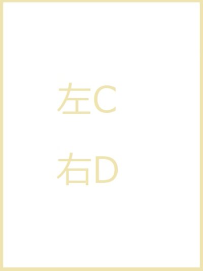 画像2: サルグミンヌアンファンリシャールカップ