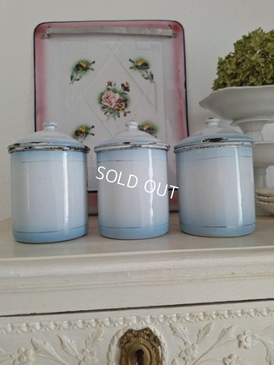 画像5: Japyダブルパンジーキャニスター