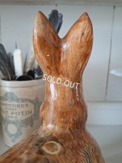 画像22: Michel Caugantうさぎテリーヌポット　