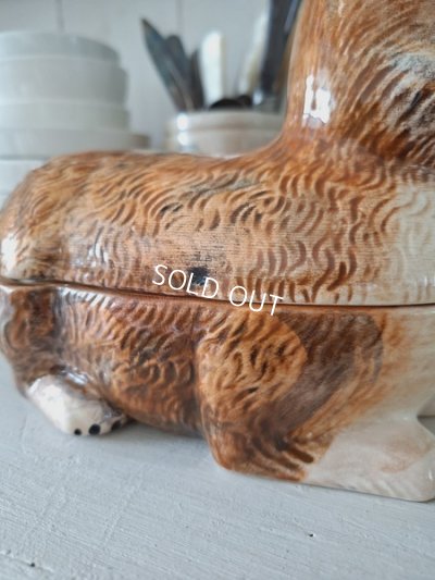 画像23: Michel Caugantうさぎテリーヌポット　