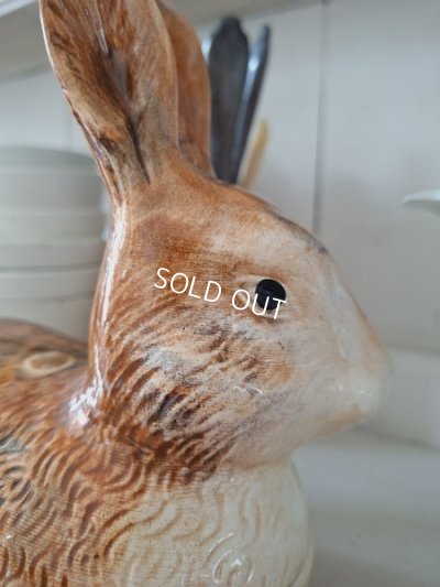 画像3: Michel Caugantうさぎテリーヌポット　