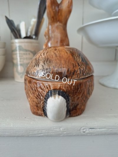 画像6: Michel Caugantうさぎテリーヌポット　