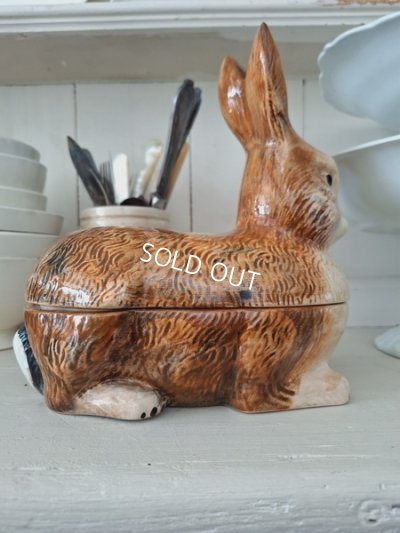 画像5: Michel Caugantうさぎテリーヌポット　