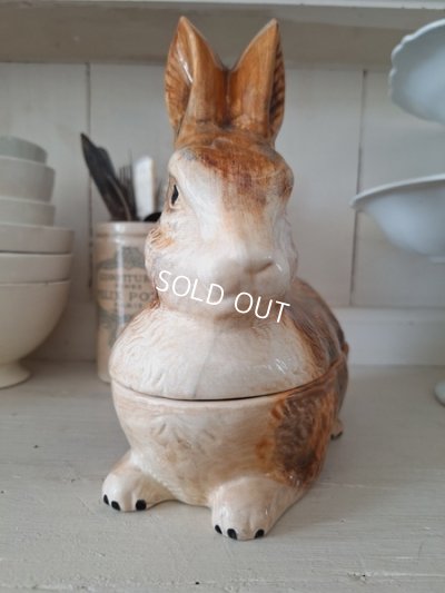 画像7: Michel Caugantうさぎテリーヌポット　