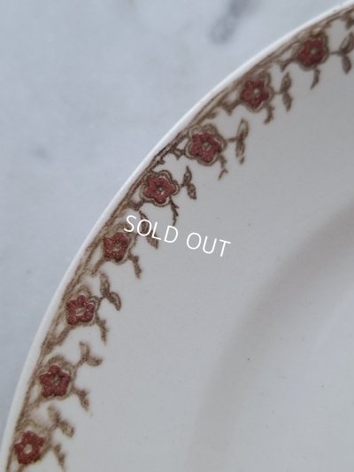 画像4: サルグミンヌEnfant Richardプレート