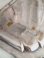 画像7: Felix Freresシルバープレートリボンリードトレイ (7)