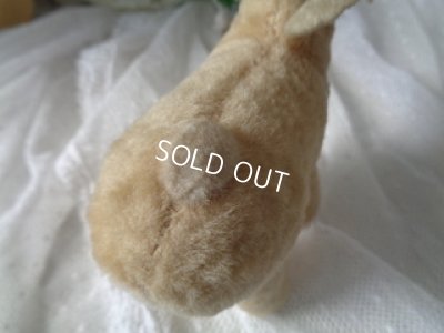 画像5: ヤギドール