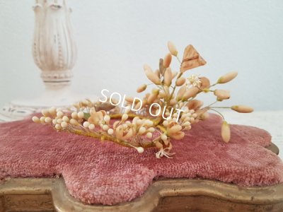 画像3: ワックスフラワー