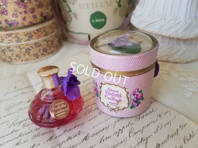 画像1: Violettes de Toulouseすみれボックス
