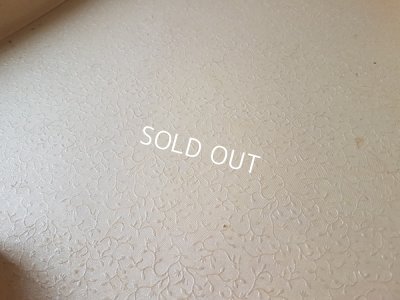 画像3: 犬を抱く女性柄ボックス