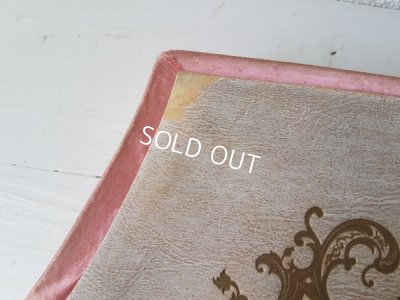 画像6: 犬を抱く女性柄ボックス