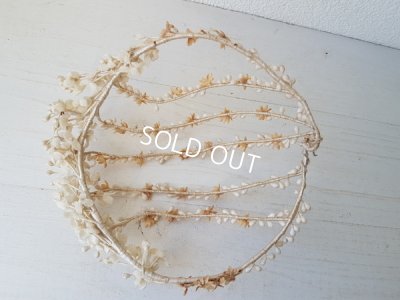 画像11: ワックスフラワーヘッドオーナメント