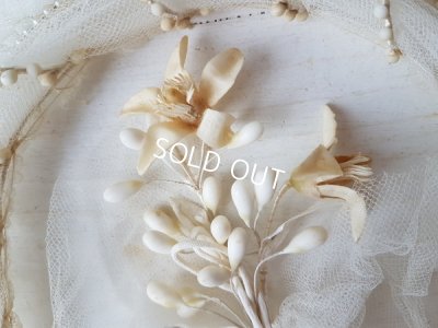 画像6: ボックス付マリエティアラセット