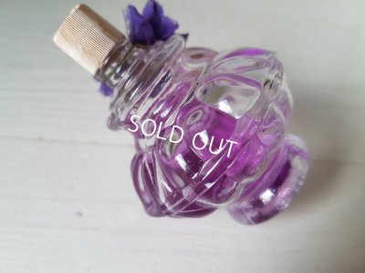 画像8: Violettes de Toulouseボックス付香水瓶