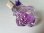 画像8: Violettes de Toulouseボックス付香水瓶