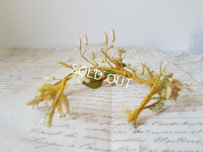 画像3: ワックスフラワーとレースリボンセット