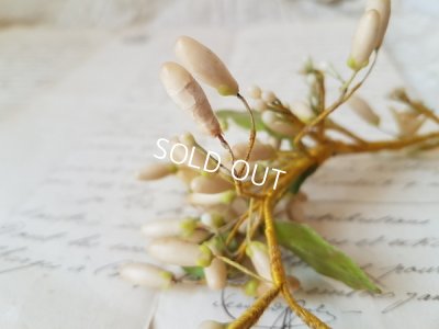 画像8: ワックスフラワーとレースリボンセット