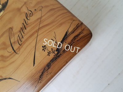 画像5: クッション付き小鳥柄モシュリンヌボックス