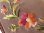 画像13: 花柄刺繍カルトナージュボックス