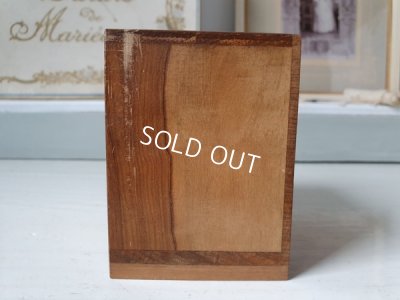 画像4: モシュリンヌすみれとミモザ柄ドロワー