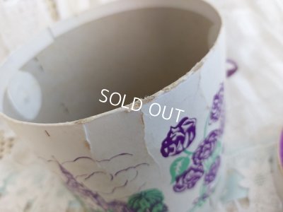 画像12: Violettes de Toulouseすみれボックス