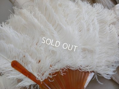 画像10: アンティークフェアザーファン